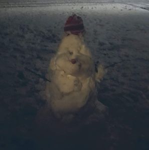 Meet your Posher, Donna